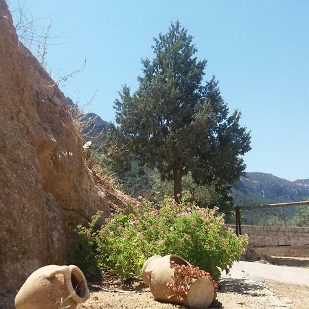 Casa Lucia Campagna Relax Guest House Dorgali Exterior photo