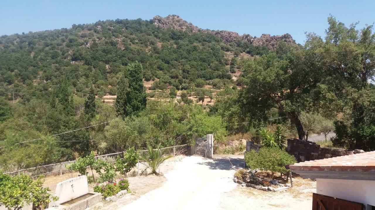 Casa Lucia Campagna Relax Guest House Dorgali Exterior photo
